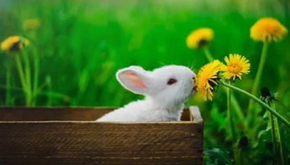 长治伴游，定制QQ：3494206190微信：act1322